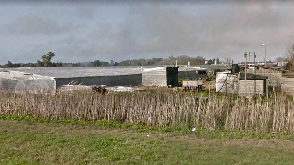 La tragedia tuvo lugar en la zona rural de la Plata. (Archivo).