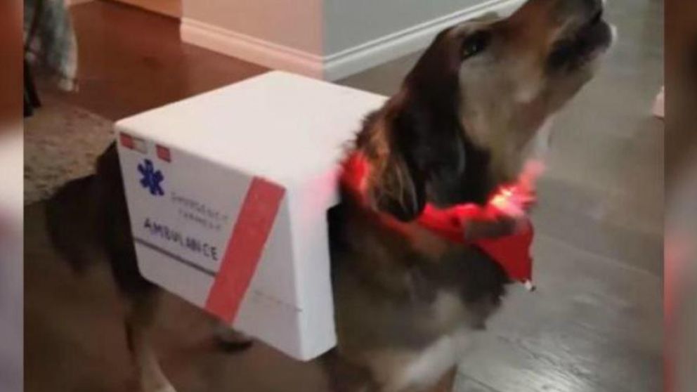 Lo grabaron mientras imitaba la sirena de la ambulancia (Captura de video).