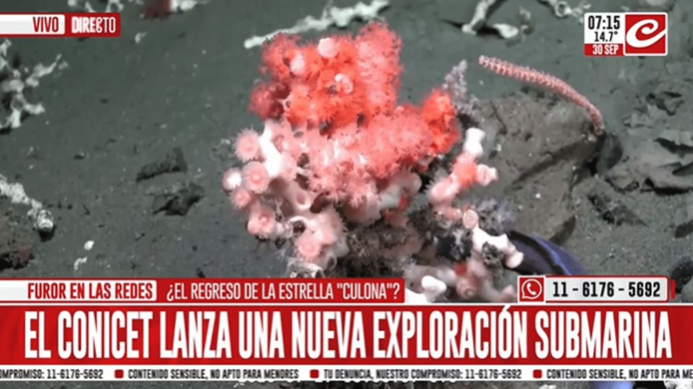 Crónica HD
