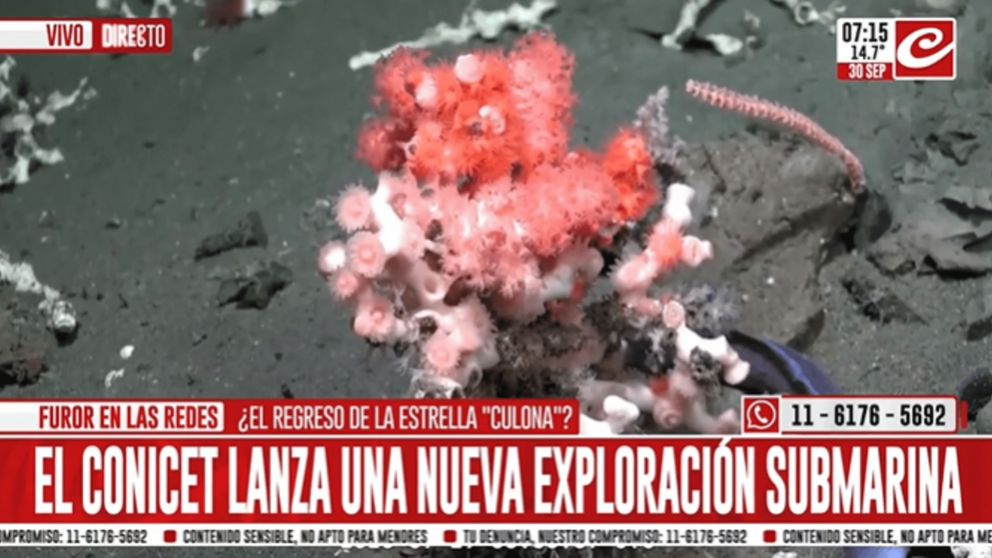 Crónica HD