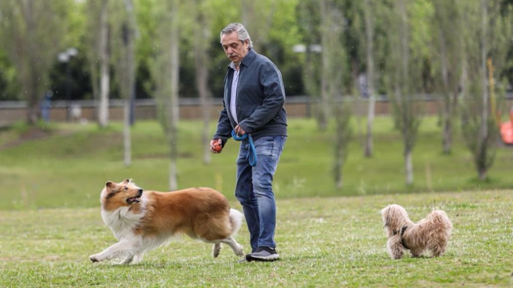 Alberto y Dylan, una postal que se repite en el barrio (@alferdez)