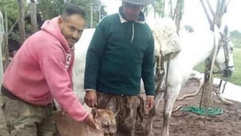 Fueron identificados.