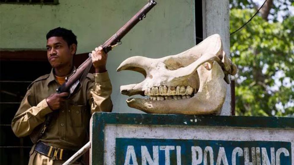 El hombre fue arrestado tras seis años de intensa búsqueda.