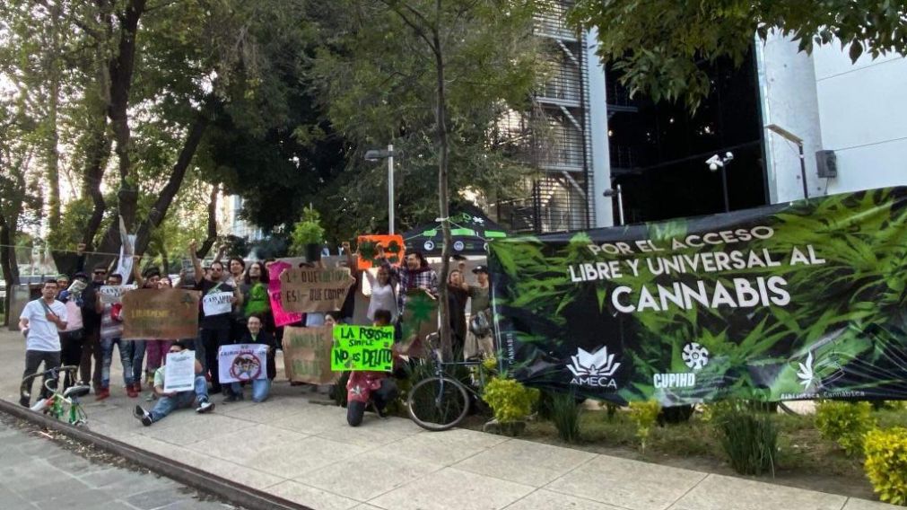 El debate sobre la marihuana se reactiv� en el Congreso mexicano este mes. (Twitter)