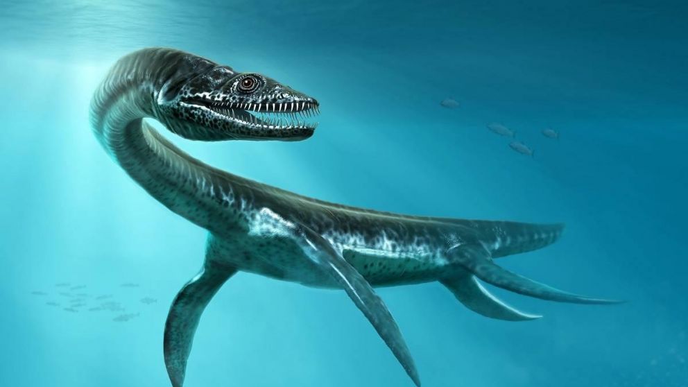 La leyenda sobre Nahuelito se remonta a relatos ind�genas y el primer avistamiento registrado data de 1910.