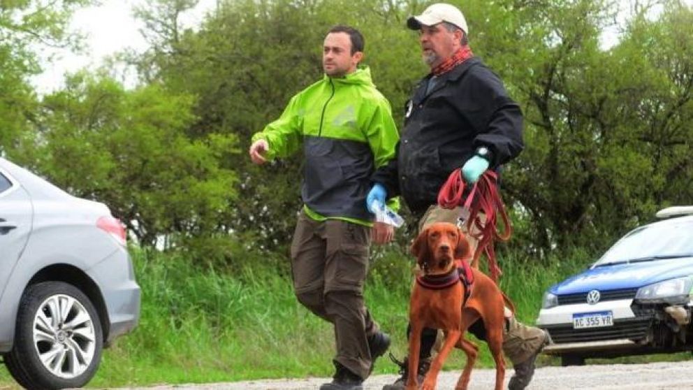 Perros rastrillarán la zona de la costa de Punta Indio.