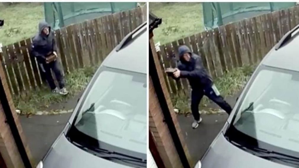 Una cámara de seguridad captó el insólito hecho (Captura de video)