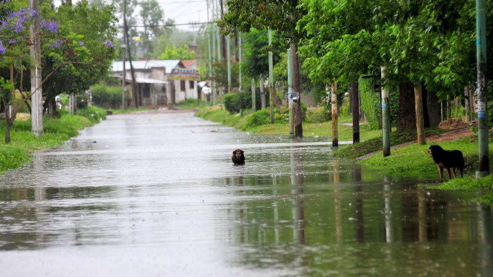 El temporal provoc� fuertes anegaciones (Hern�n Nersesi�n/Cr�nica)