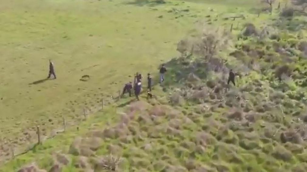Investigadores y canes participan de un rastrillaje en la zona (Captura).