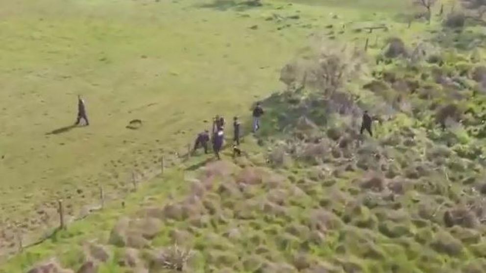 Investigadores y canes participan de un rastrillaje en la zona (Captura).