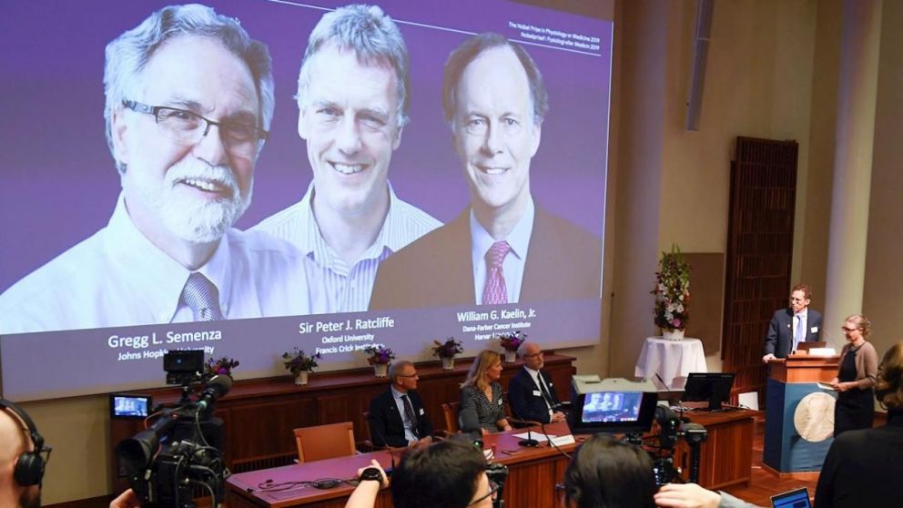 Los tres médicos esperan que sus estudios ayuden en la lucha contras varias enfermedades.