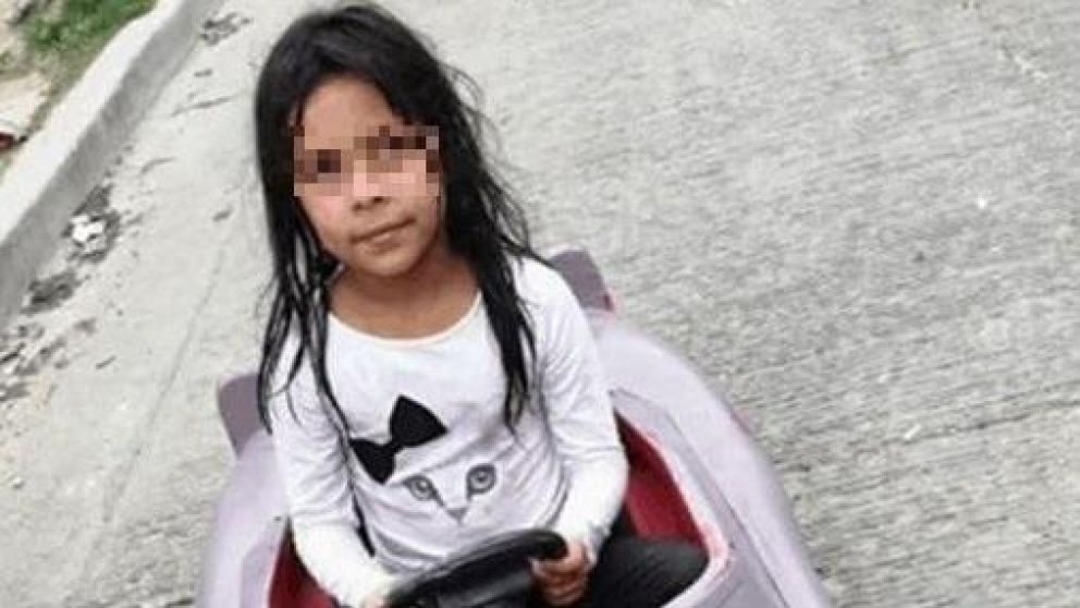 Ella es Diane, la menor que atropelló a su gato por accidente y luego pidió disculpas.