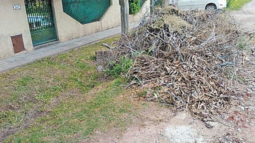 Los vecinos del barrio Champagnat de Luján denuncia la falta de recolección de basura.