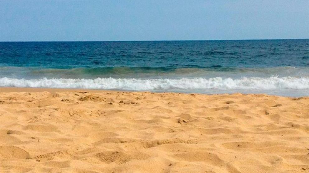 Hallan extraño y deforme "monstruo" marino de tres metros en una playa