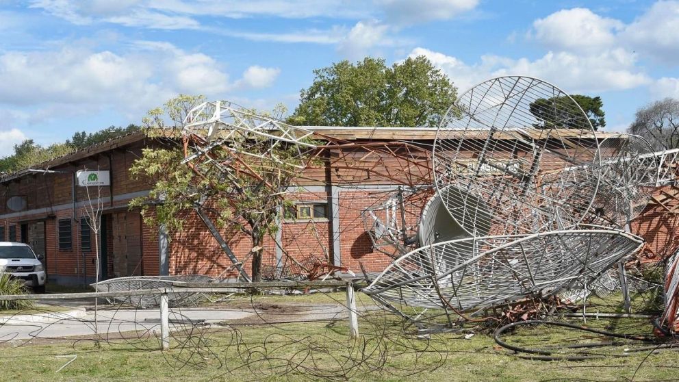 Impactantes imágenes: se desplomó una antena en el Hipódromo de La Plata y murió un caballo (Gentileza AGLP)
