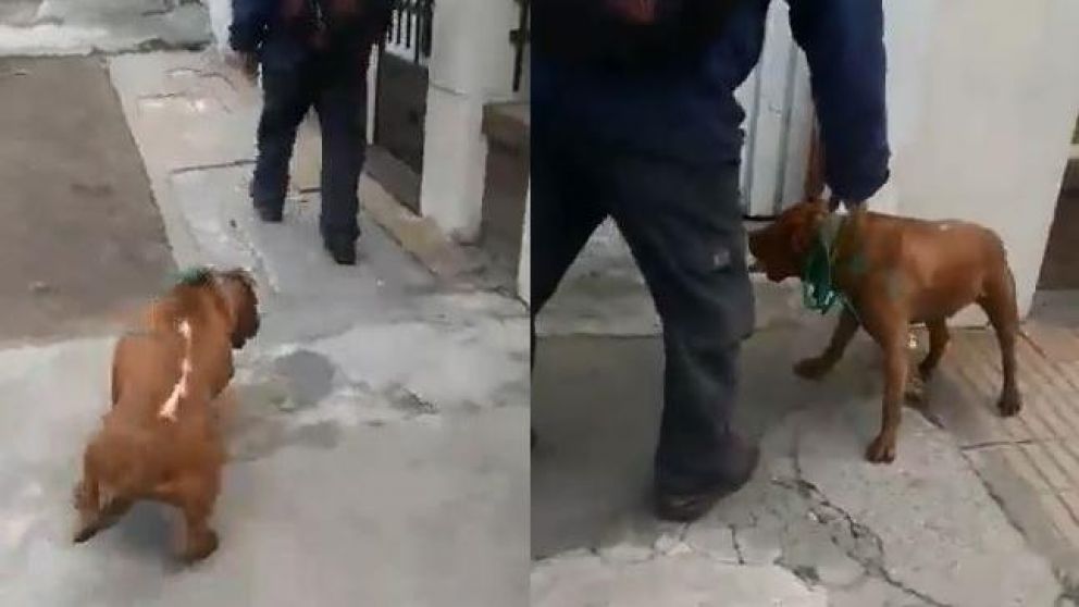 El tremendo suceso quedó grabado. (Captura)