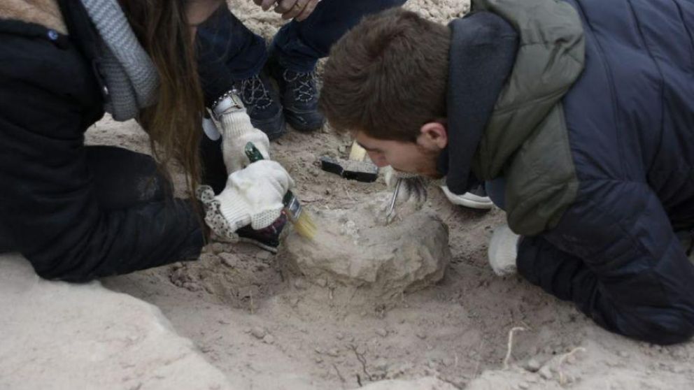 Neuqu�n, tierras de dinosaurios. (Gentileza La Ma�ana).