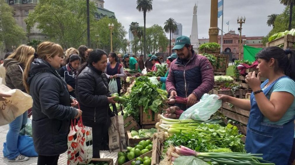 Estuvieron a la venta más de 40 toneladas de frutas, verduras, pan, harina y yerba.