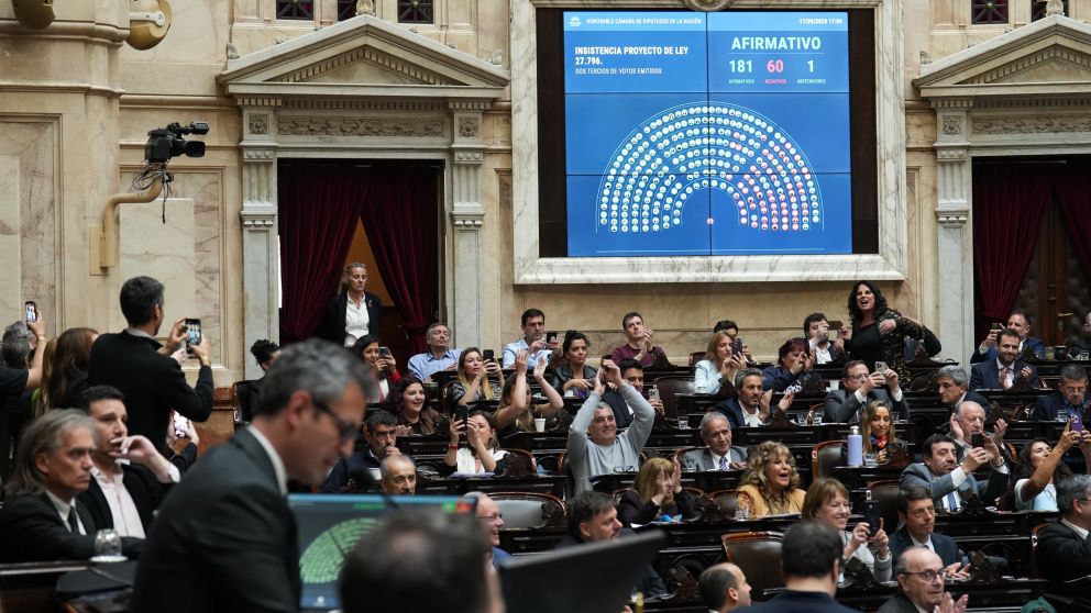 Diputados votó así los vetos de Milei.