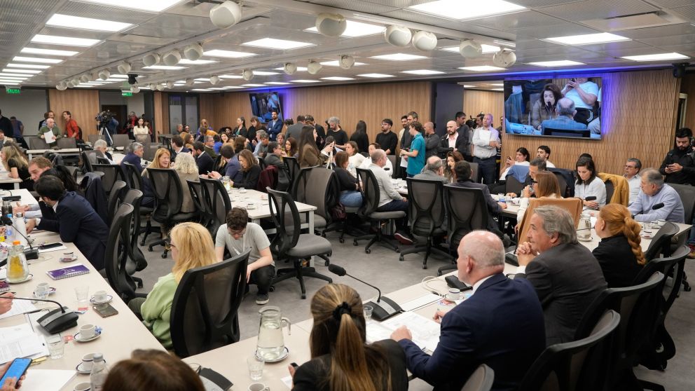 MA�ANA SE RE�NE UN PLENARIO DE COMISIONES PARA TRATAR EL PROYECTO QUE VIENE DEL SENADO.