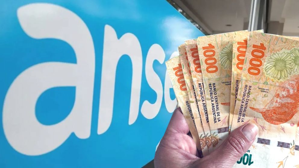 ANSES: Quiénes cobran el martes 30 de septiembre.