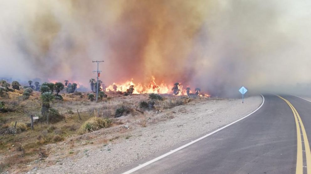 Fueron evacuadas unas 10 viviendas.
