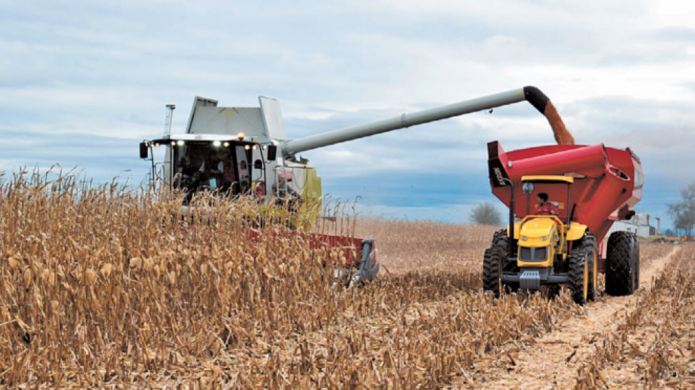 Según el INDEC, el sector agropecuario anotó un salto del 20,1% interanual.