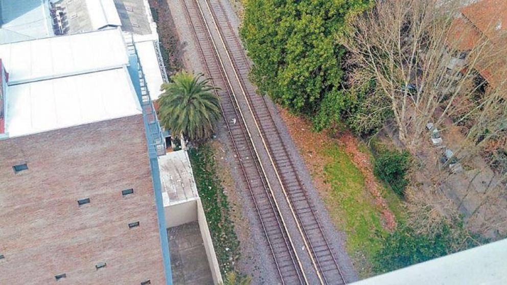 ¿Quién se hace cargo de sacar el cuerpo del animal?