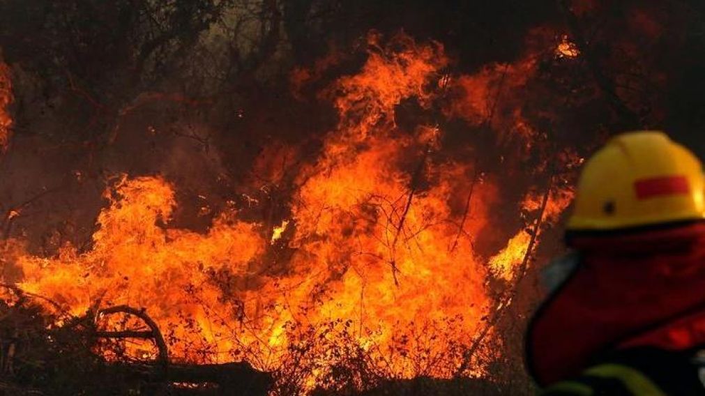 Los servidores públicos trabajaban en la zona de Chiquitanía (Gentileza AFP).