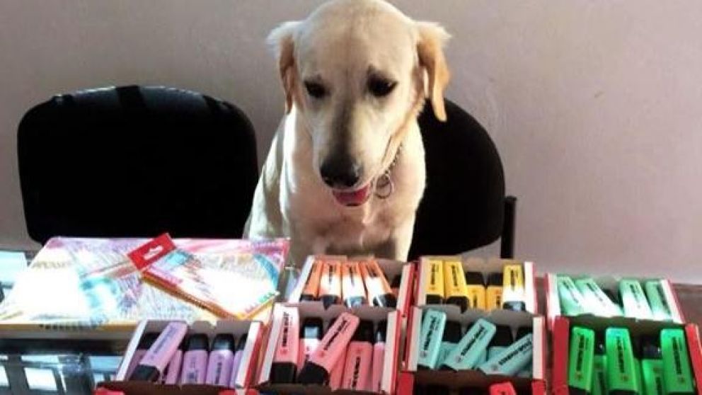 La mascota ofrece sus productos por redes sociales.