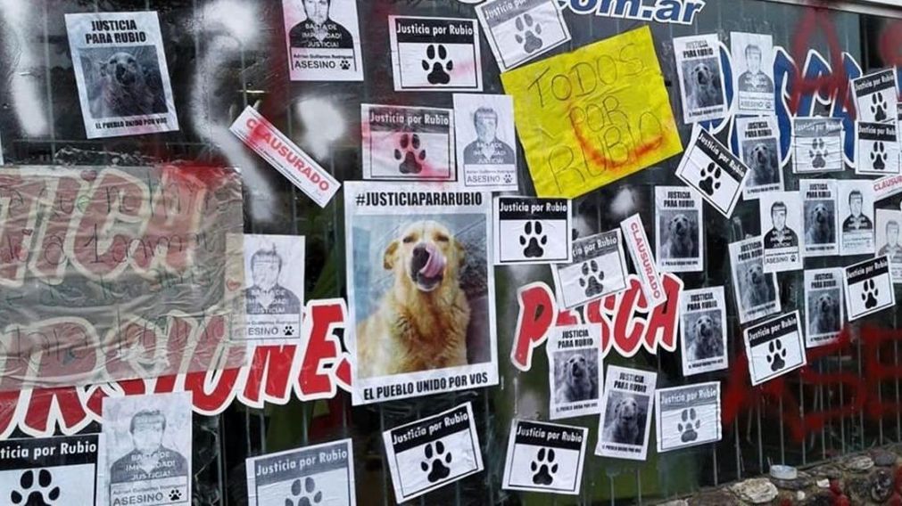 Empapelaron diversos puntos de Buenos Aires tambi�n en forma de protesta. 