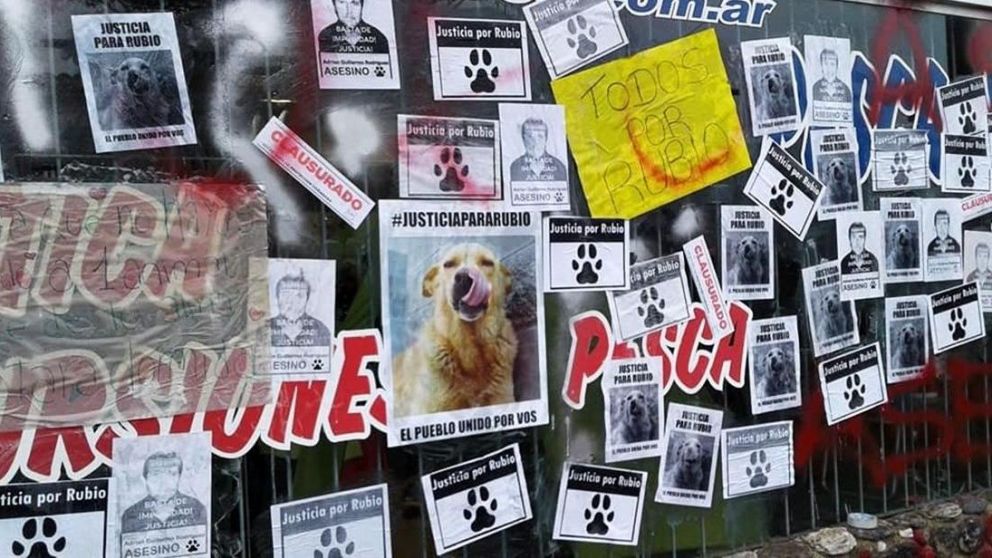 Empapelaron diversos puntos de Buenos Aires también en forma de protesta.