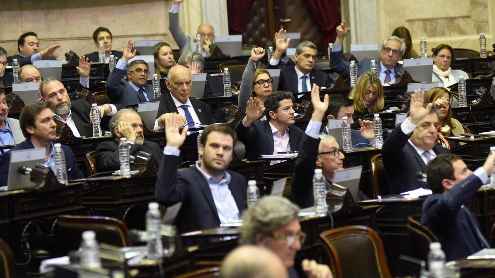 La sesión duró cerca de tres horas (Diputados).