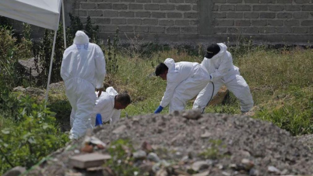 Una de las excavaciones donde descubrieron bolsas con huesos (Gentileza Cuarto Oscuro).