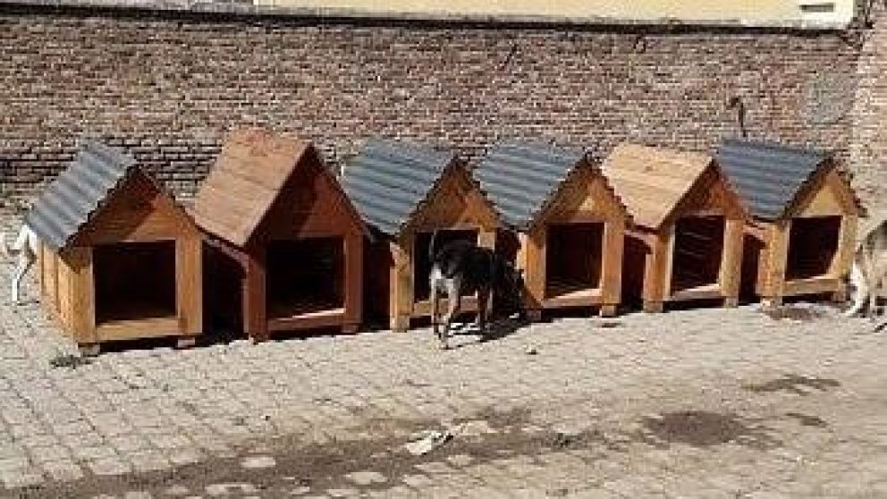 Las casitas construidas por los internos.