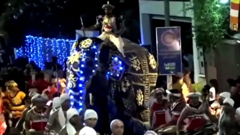 Impresionante embestida de un elefante en Sri Lanka.