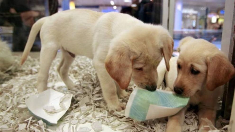 Los comercios tendrán 12 meses para adecuarse a la nueva ley.