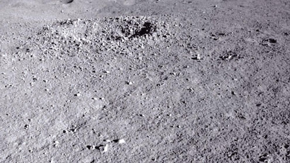 El curioso material generó diversas teorías.