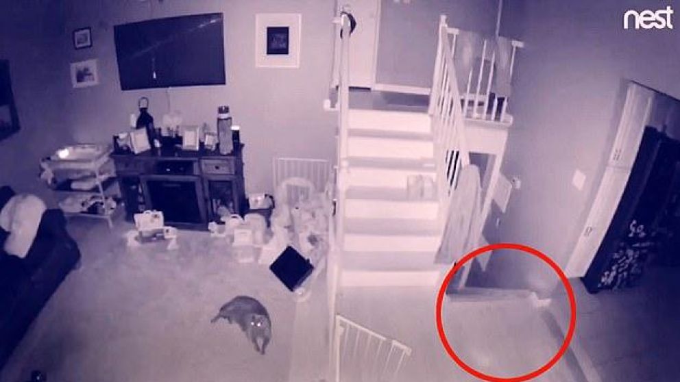 La filmaci�n se difundi� a trav�s de redes sociales (captura de video).