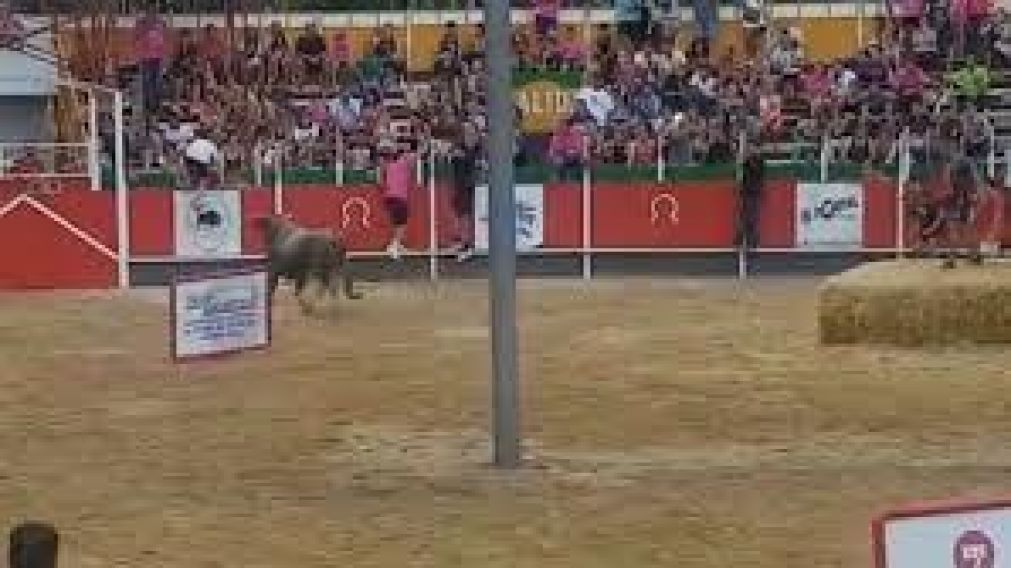 El incidente ocurrió en una plaza, en la ciudad de Girona, España.