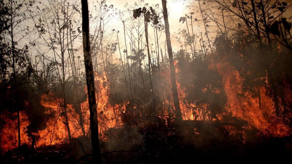 Las llamas siguen incontrolables a 25 d�as de haber comenzado los incendios.
