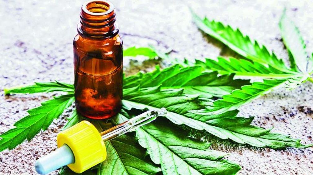 El Cannabis medicinal es utilizado por muchos pacientes a nivel mundial.