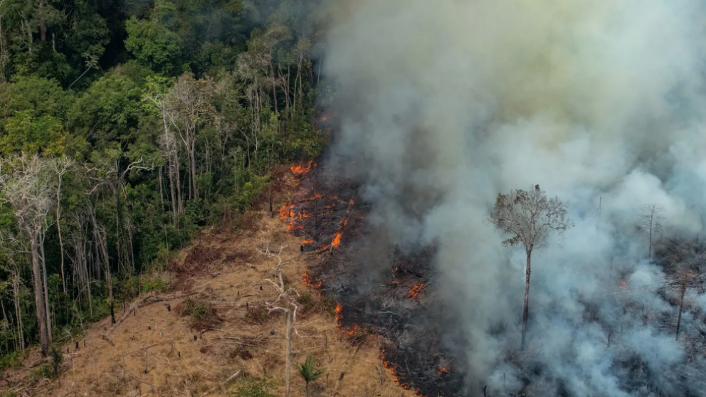 El incendio arrasa con el pulmón verde del mundo (AFP).