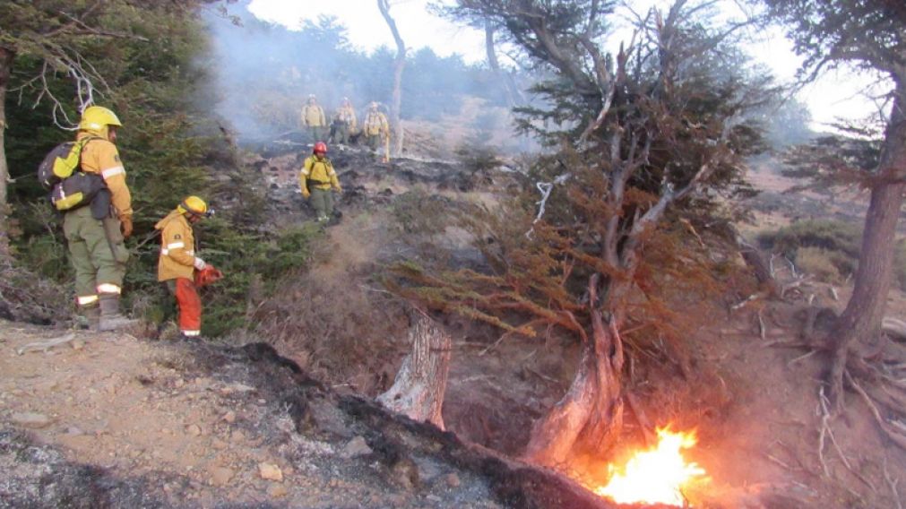 Brigadistas de Bariloche y El Bolsón combatirán los incendios en Amazonas.