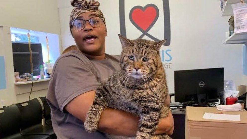 El animal tiene más de 1000 familias que buscan adoptarlo.