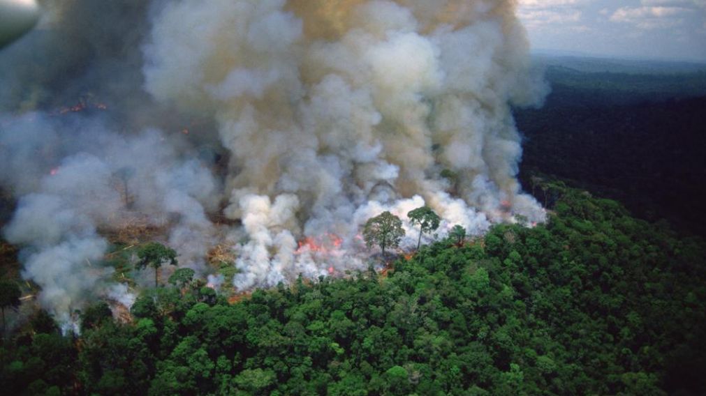 Así avanza el fuego en el "pulmón del planeta".