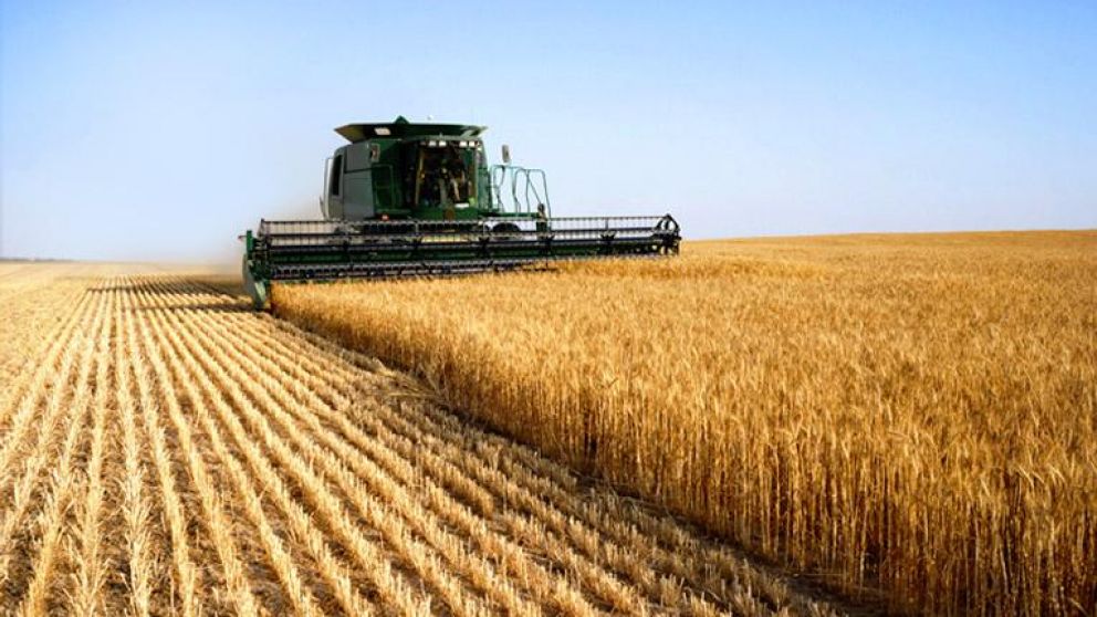 El agro registró un alza del 43% interanual.