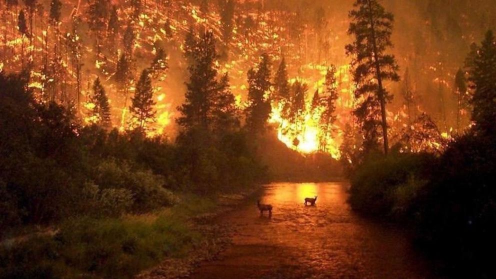 El Amazonas, en llamas.