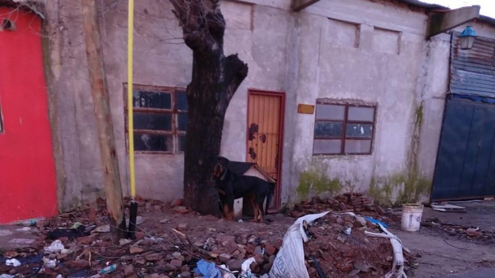 Aseguran que utilizan al perro como "alarma" para que nadie se acerque.