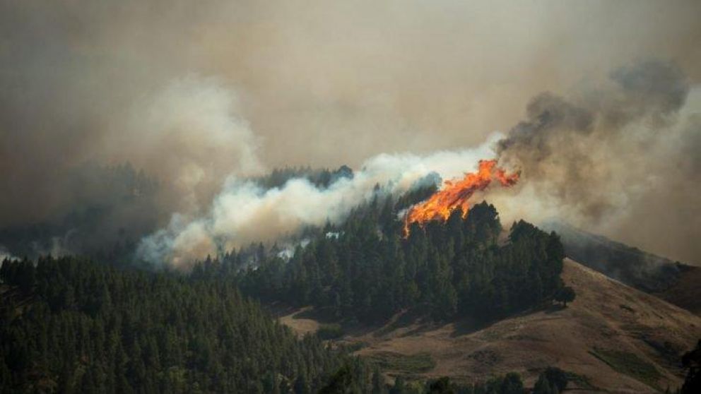 Incendio en la isla de Gran Canaria. (Twitter)